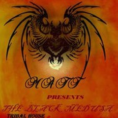 M.A.T.T GOES ELECTRO