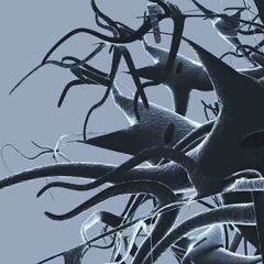 Multipsyche (Gerhard Wolgers)