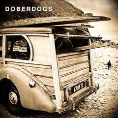Doberdogs