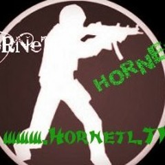 HoRNeT