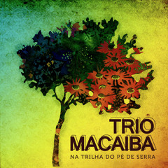 Trio Macaíba