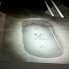 Unleashed By Science