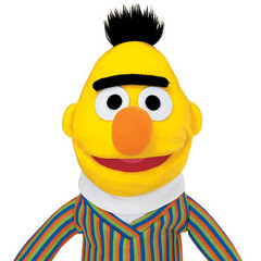 Bert T
