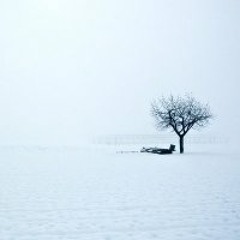 Collettivo Housedada