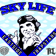 Sky life A1Fly