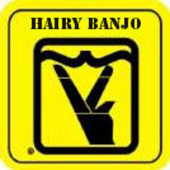 Hairy Banjo