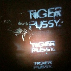 tigerpussy