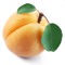 konstantinos apricot