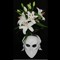 Little Band of Sailors