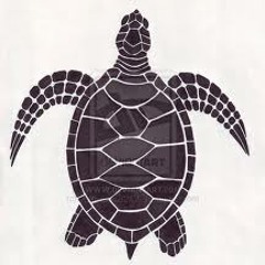 Toerpschi