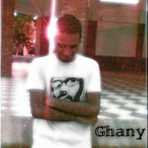 Ahmed Sayed Abd El-Ghany’s avatar