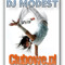 Dj Modest
