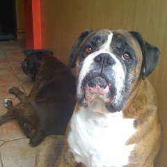 Davey7