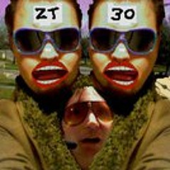 ZT-30