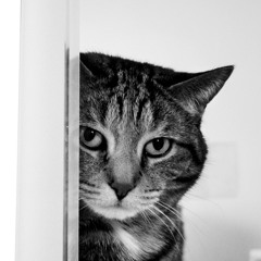 Yeng constantino-jeepney lovestory