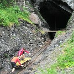 Isabella Grędzinski