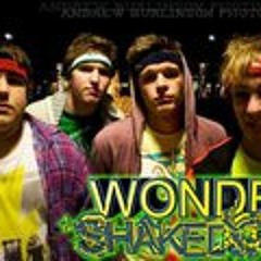 Wonder Shakedown