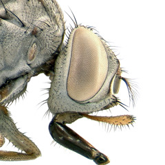 Andy Wheddon & Friends