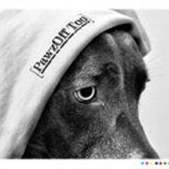 Abraham R. Chuzzlewit