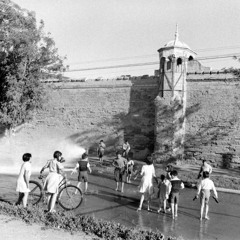 Pato Patín - Cianuro