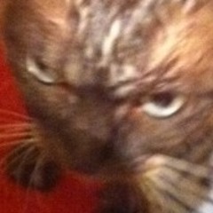 This is why patton whomps