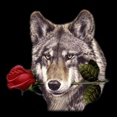 sprywolf