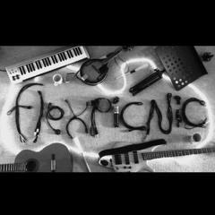 flexpicnic