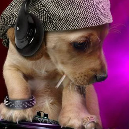 S-lap - Melodic Obsessions