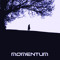 momentum_