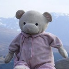 Teddy Pink