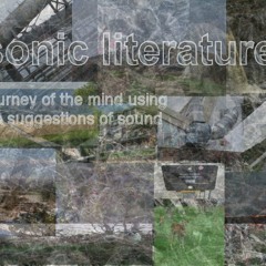 Sonic Literature