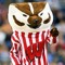 BuckyBadger