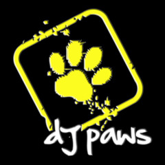 DJ PAWS