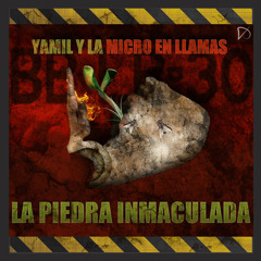 YAMILYLAMICROENLLAMAS