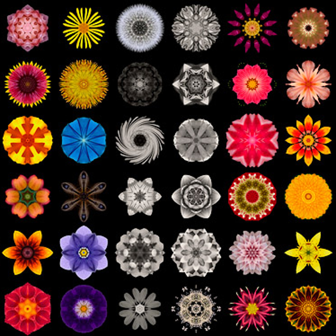 avatars-000004166334-wndovh-