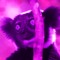 INDRI