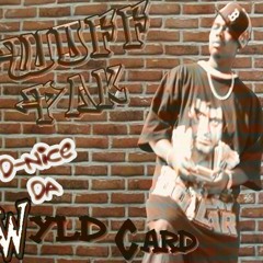 D-Nice da Wyldcard