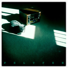polyfonmusic