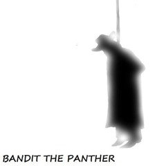 bandit_the_panther