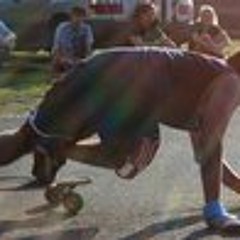 Luis Fernando Gutierrez 1