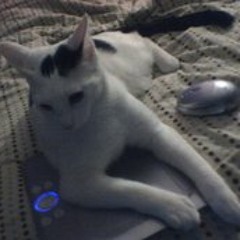 James Trevor Cunningham