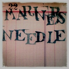 TheMariner'sNeedle