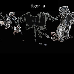 tiger_a