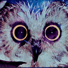 brotherfromanothermother