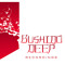 Bushido Deep Recordings
