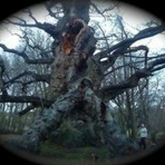 Richard Phillip Beal