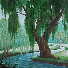 Momentum by Nuno Lupi