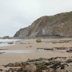 God Damn It, These Are Left Handed Sissors