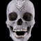 deathsteppa
