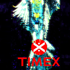 TIMEX_mot